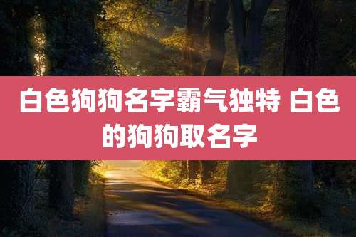 白色狗狗名字霸气独特 白色的狗狗取名字