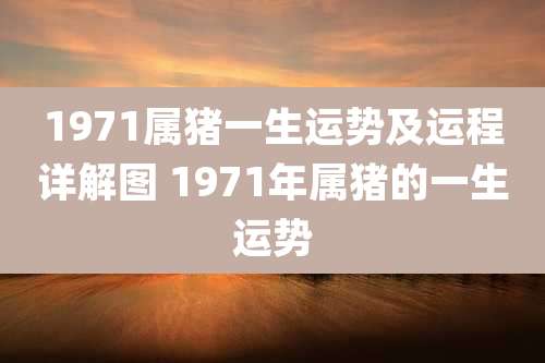1971属猪一生运势及运程详解图 1971年属猪的一生运势