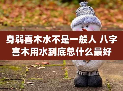身弱喜木水不是一般人 八字喜木用水到底总什么最好