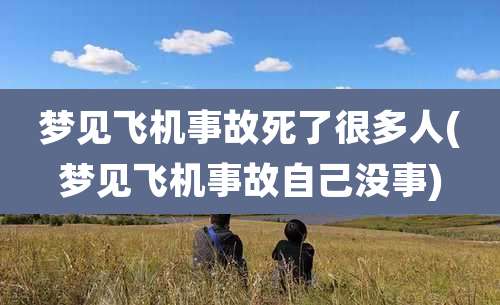 梦见飞机事故死了很多人(梦见飞机事故自己没事)
