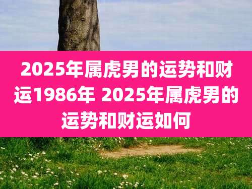 2025年属虎男的运势和财运1986年 2025年属虎男的运势和财运如何