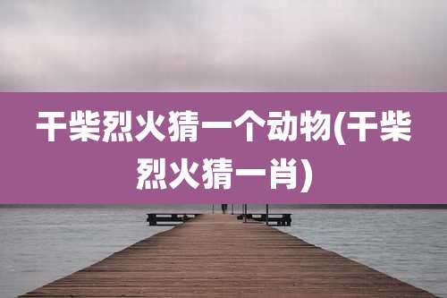 干柴烈火猜一个动物(干柴烈火猜一肖)