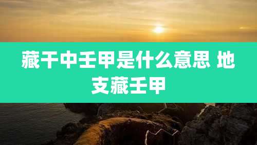 藏干中壬甲是什么意思 地支藏壬甲