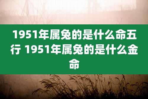 1951年属兔的是什么命五行 1951年属兔的是什么金命