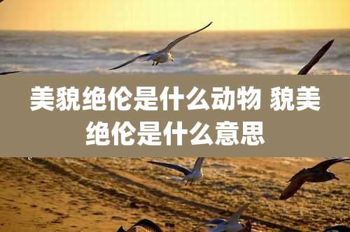 美貌绝伦是什么动物 貌美绝伦是什么意思