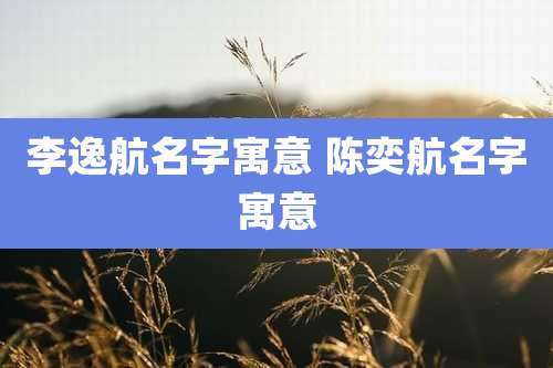 李逸航名字寓意 陈奕航名字寓意