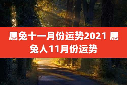 属兔十一月份运势2021 属兔人11月份运势