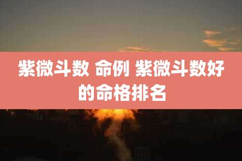 紫微斗数 命例 紫微斗数好的命格排名