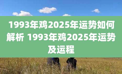 1993年鸡2025年运势如何解析 1993年鸡2025年运势及运程