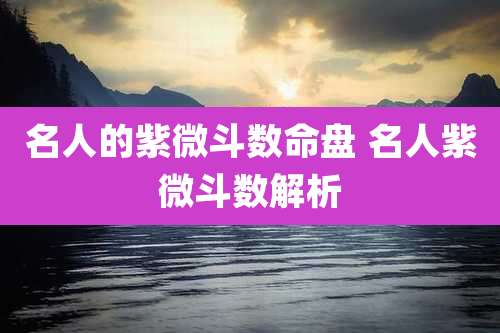 名人的紫微斗数命盘 名人紫微斗数解析