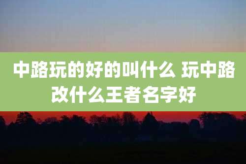 中路玩的好的叫什么 玩中路改什么王者名字好