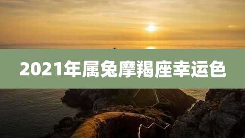 2021年属兔摩羯座幸运色