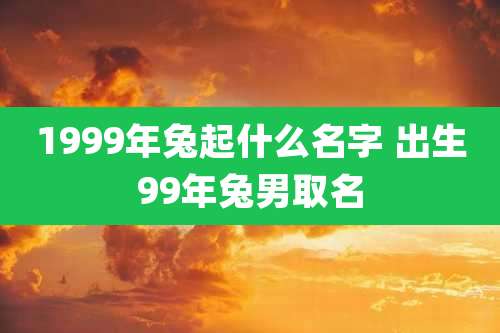 1999年兔起什么名字 出生99年兔男取名