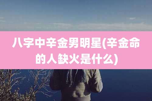 八字中辛金男明星(辛金命的人缺火是什么)