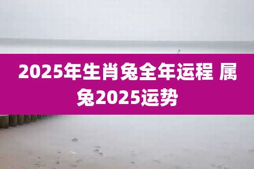 2025年生肖兔全年运程 属兔2025运势