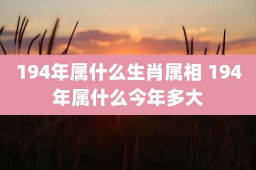 194年属什么生肖属相 194年属什么今年多大