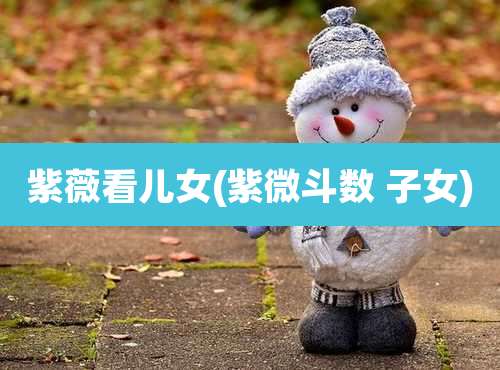 紫薇看儿女(紫微斗数 子女)