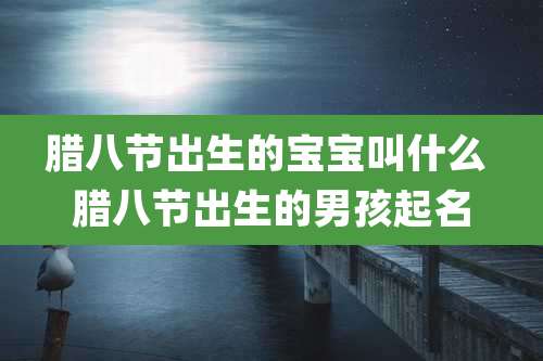 腊八节出生的宝宝叫什么 腊八节出生的男孩起名