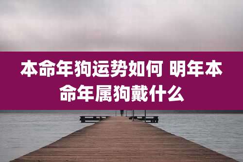 本命年狗运势如何 明年本命年属狗戴什么
