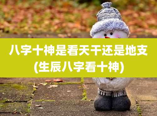 八字十神是看天干还是地支(生辰八字看十神)