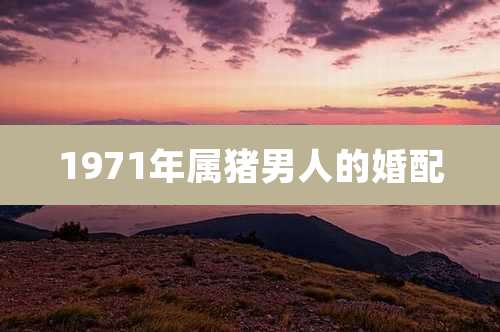 1971年属猪男人的婚配
