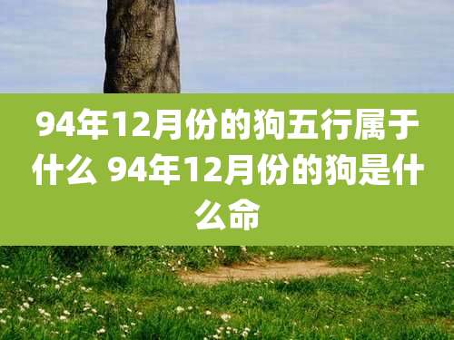 94年12月份的狗五行属于什么 94年12月份的狗是什么命