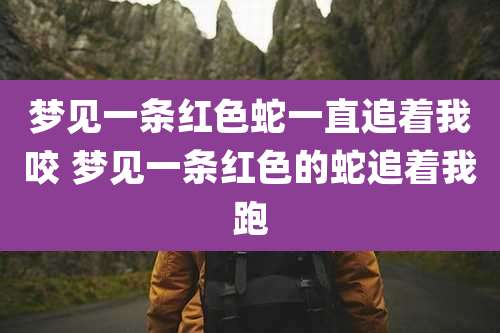 梦见一条红色蛇一直追着我咬 梦见一条红色的蛇追着我跑