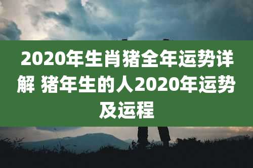2020年生肖猪全年运势详解 猪年生的人2020年运势及运程