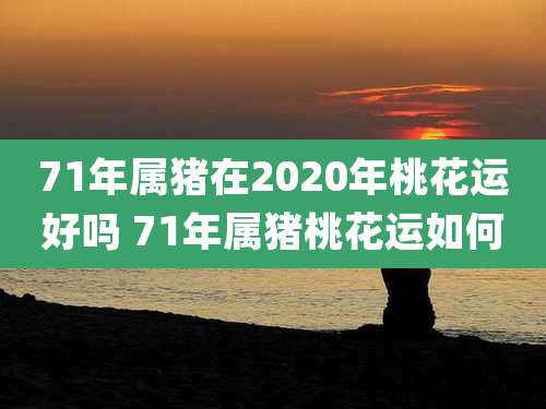 71年属猪在2020年桃花运好吗 71年属猪桃花运如何