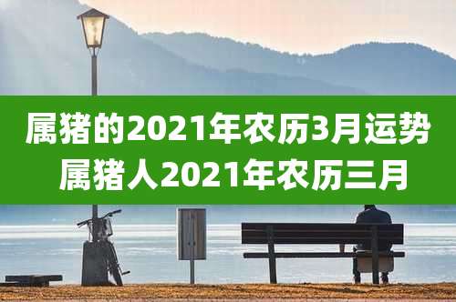 属猪的2021年农历3月运势 属猪人2021年农历三月
