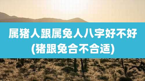 属猪人跟属兔人八字好不好(猪跟兔合不合适)