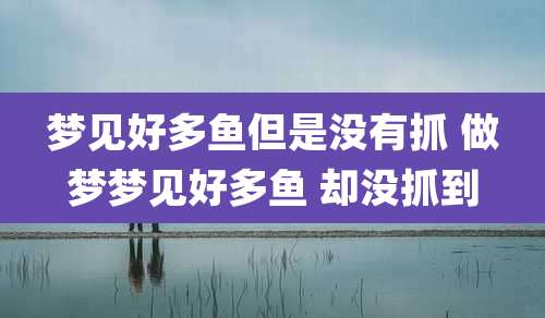 梦见好多鱼但是没有抓 做梦梦见好多鱼 却没抓到