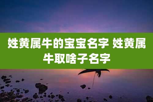 姓黄属牛的宝宝名字 姓黄属牛取啥子名字