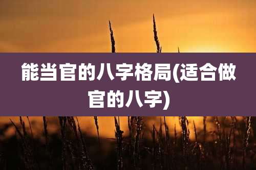 能当官的八字格局(适合做官的八字)