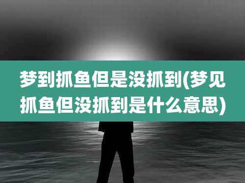 梦到抓鱼但是没抓到(梦见抓鱼但没抓到是什么意思)