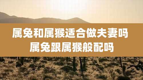 属兔和属猴适合做夫妻吗 属兔跟属猴般配吗