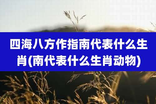 四海八方作指南代表什么生肖(南代表什么生肖动物)