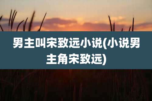 男主叫宋致远小说(小说男主角宋致远)