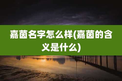 嘉茵名字怎么样(嘉茵的含义是什么)