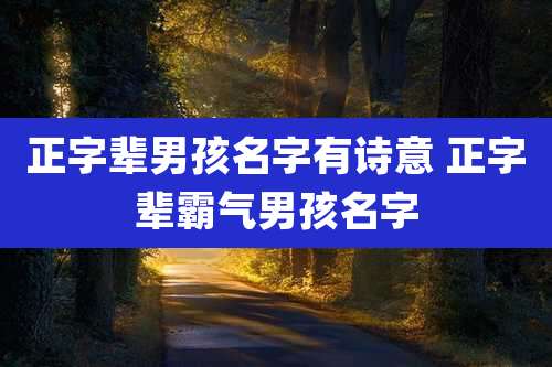 正字辈男孩名字有诗意 正字辈霸气男孩名字