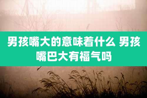 男孩嘴大的意味着什么 男孩嘴巴大有福气吗