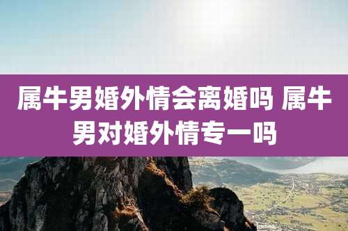 属牛男婚外情会离婚吗 属牛男对婚外情专一吗