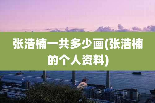 张浩楠一共多少画(张浩楠的个人资料)