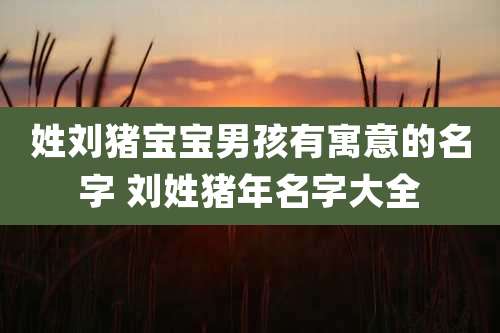姓刘猪宝宝男孩有寓意的名字 刘姓猪年名字大全