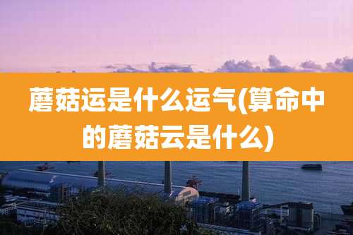 蘑菇运是什么运气(算命中的蘑菇云是什么)