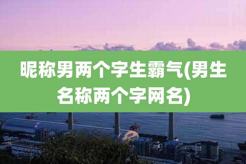 昵称男两个字生霸气(男生名称两个字网名)