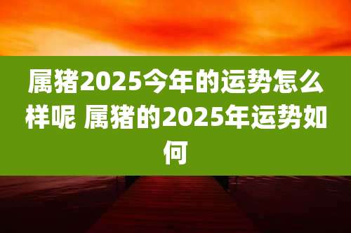 属猪2025今年的运势怎么样呢 属猪的2025年运势如何