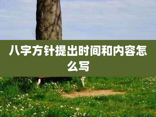 八字方针提出时间和内容怎么写