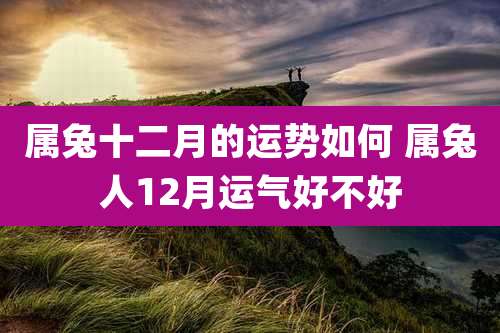 属兔十二月的运势如何 属兔人12月运气好不好