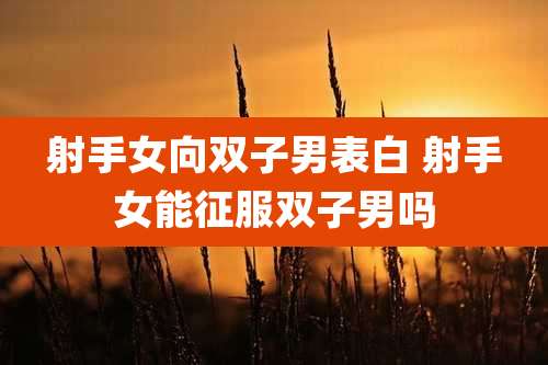 射手女向双子男表白 射手女能征服双子男吗